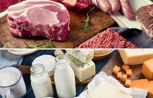 بهترین منبع پروتئین برای بدن کدام است، حیوانی یا گیاهی؟