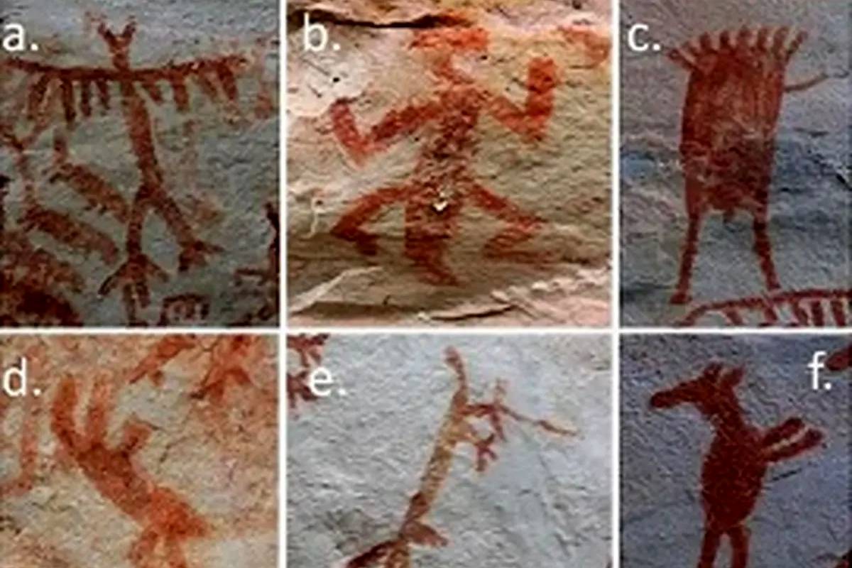 صخرهنگارههای مرموز ۱۱ هزار ساله در دل جنگل آمازون