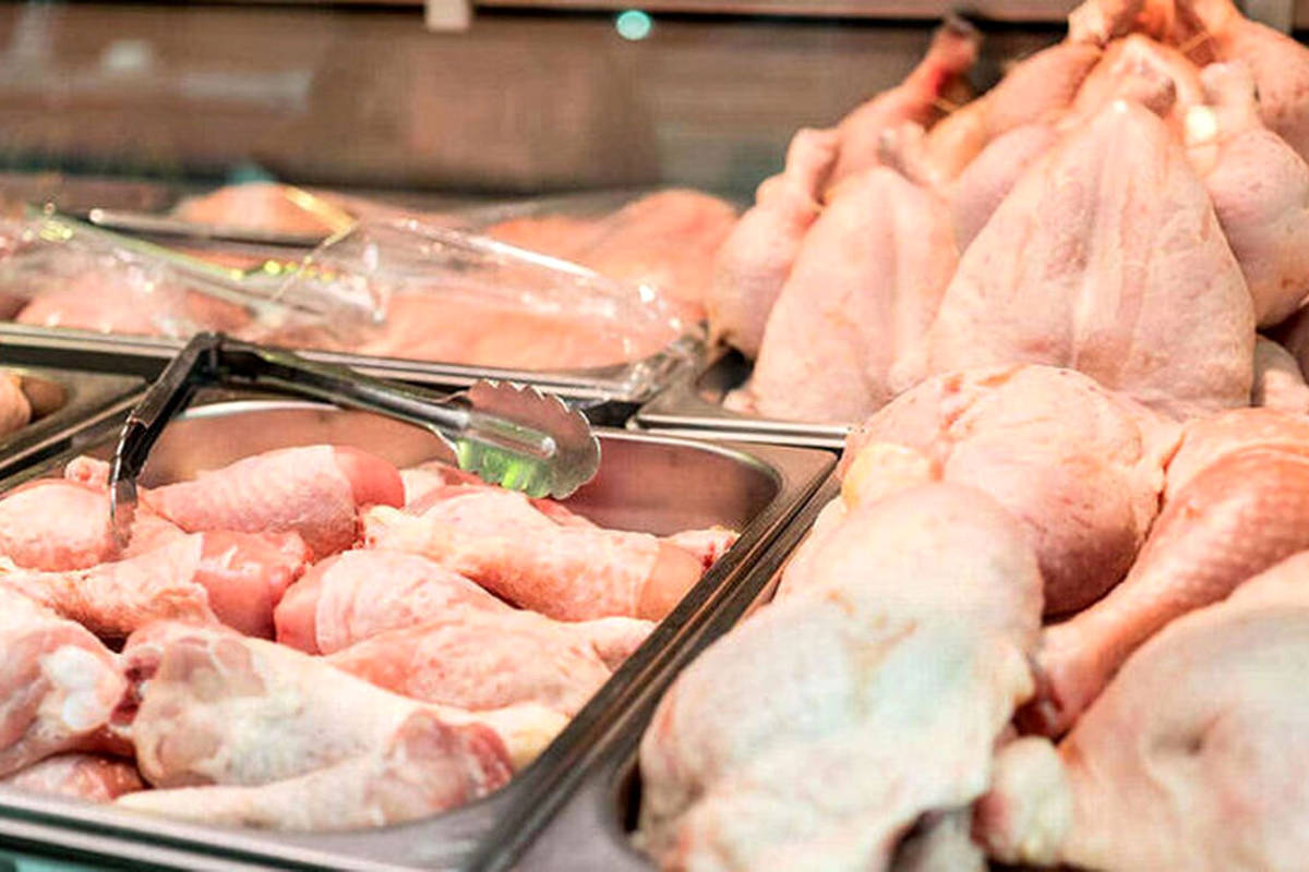 قیمت گوشت مرغ، امروز دوشنبه ۱۹ شهریور ۱۴۰۳