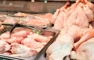 قیمت گوشت مرغ، امروز دوشنبه ۱۹ شهریور ۱۴۰۳