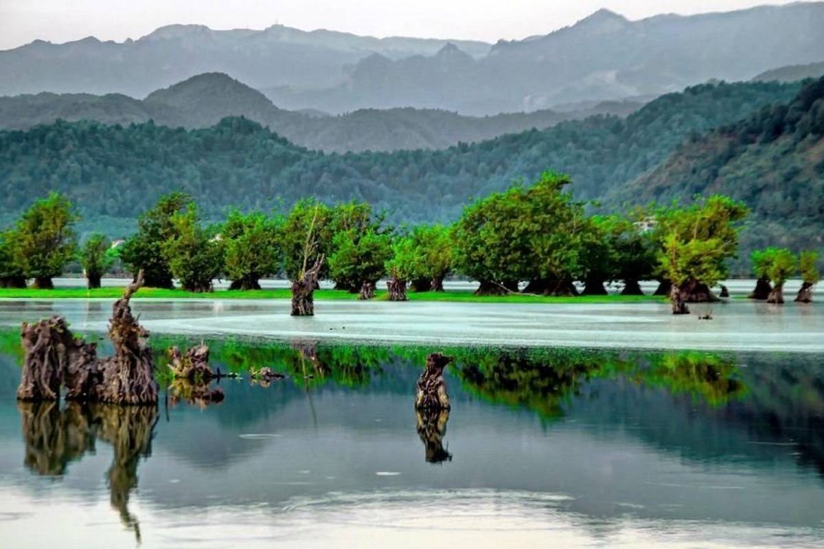 (تصاویر) 8 تالاب بی نظیر و دیدنی استان گیلان که حتما باید ببینید