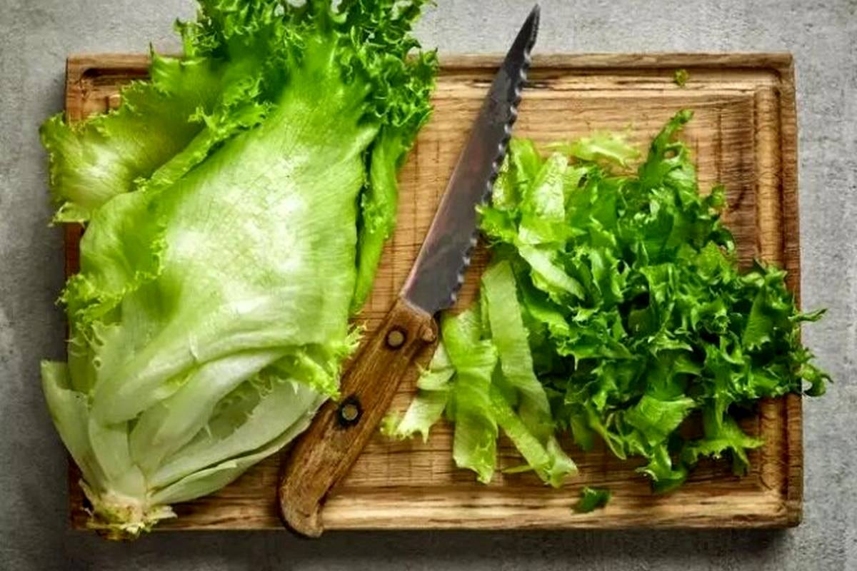 چگونه کاهو را در یخچال تازه نگه داریم؟