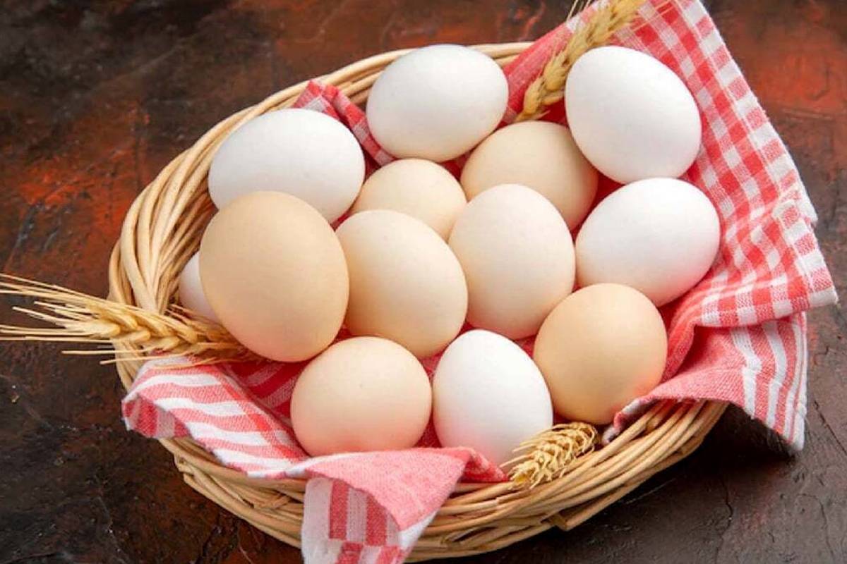 چگونه تخم مرغ را شسته و ضدعفونی کنیم؟