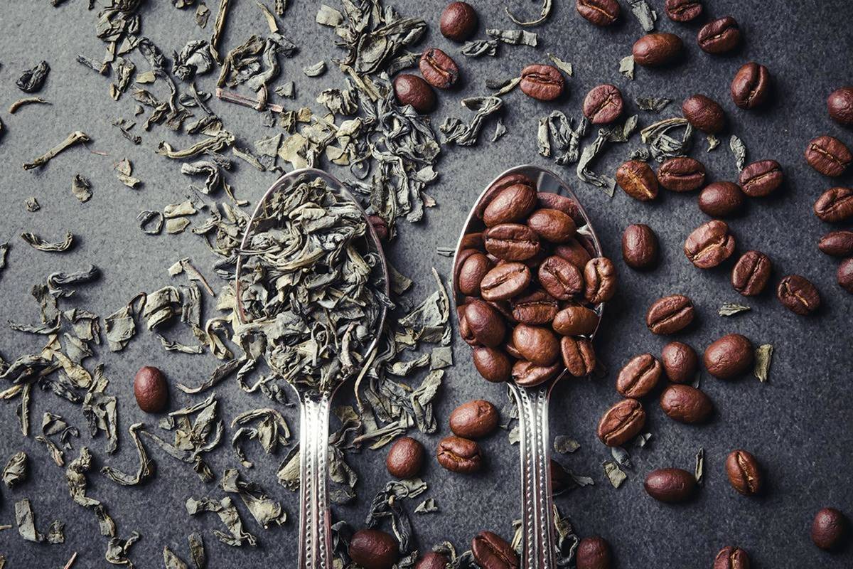 چای یا قهوه؛ کدامیک کافئین بیشتری دارد؟