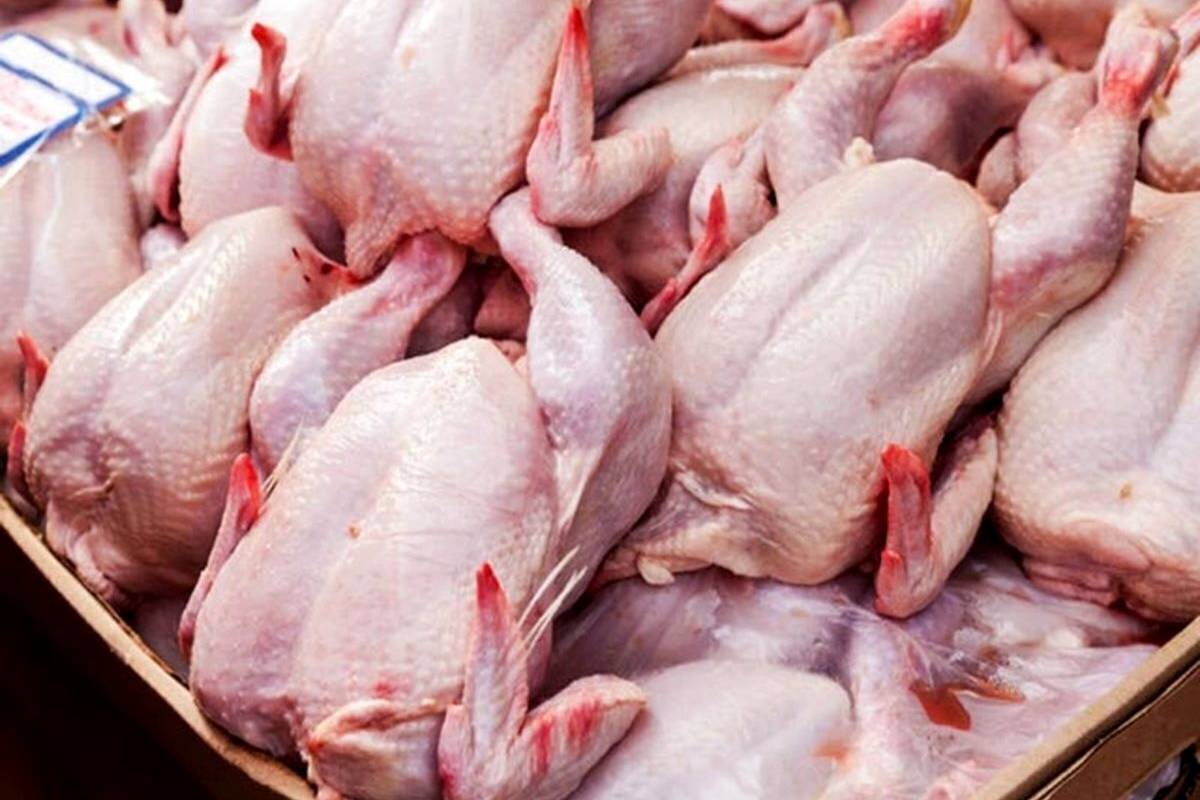 قیمت گوشت مرغ، امروز پنجشنبه ۱۶ فروردین ۱۴۰۳