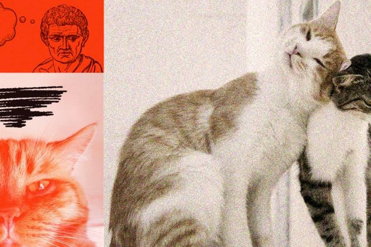 فلسفه روزمره: آیا اشکالی ندارد با کسی که دوستم دوست دارد، قرار ملاقات بگذارم؟