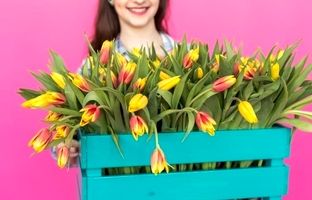 راز شادابی لاله‌هایتان در خانه: راهنمای جامع نگهداری گل لاله