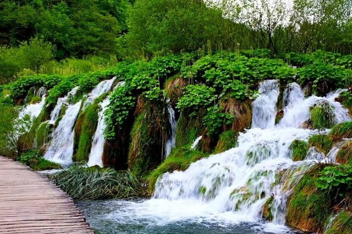 آغوشی خنک در دل طبیعت: آبشارهای شیراز در انتظار شما