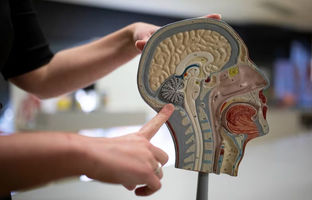 ضربه مغزی چیست و چه علائمی دارد؟ 