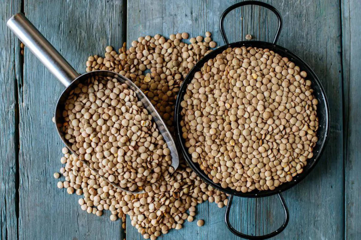 یک کیلو عدس برای چند نفر عدسی می‌دهد؟ ؛ راهنمای کامل محاسبه مقدار عدس برای هر نفر