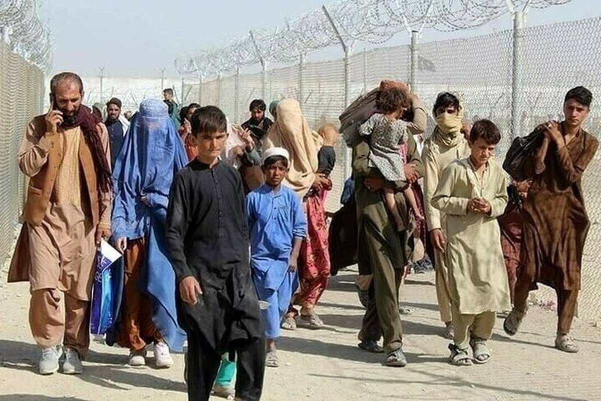 جزئیاتی جدید از طرح ساماندهی اتباع خارجی