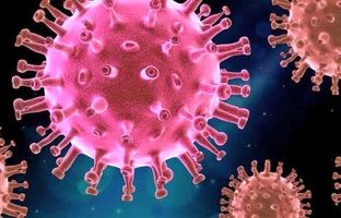 سویه «XEC» کرونا؛ آیا علائم جدیدی گزارش شده است؟