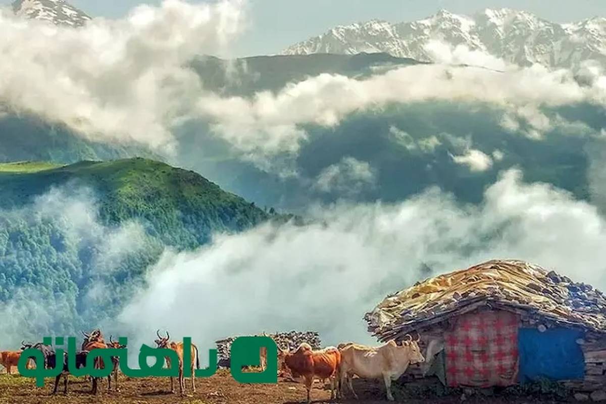 سفر به روستای مازیچال؛ مسیری که به سوی بهشت میپیچد