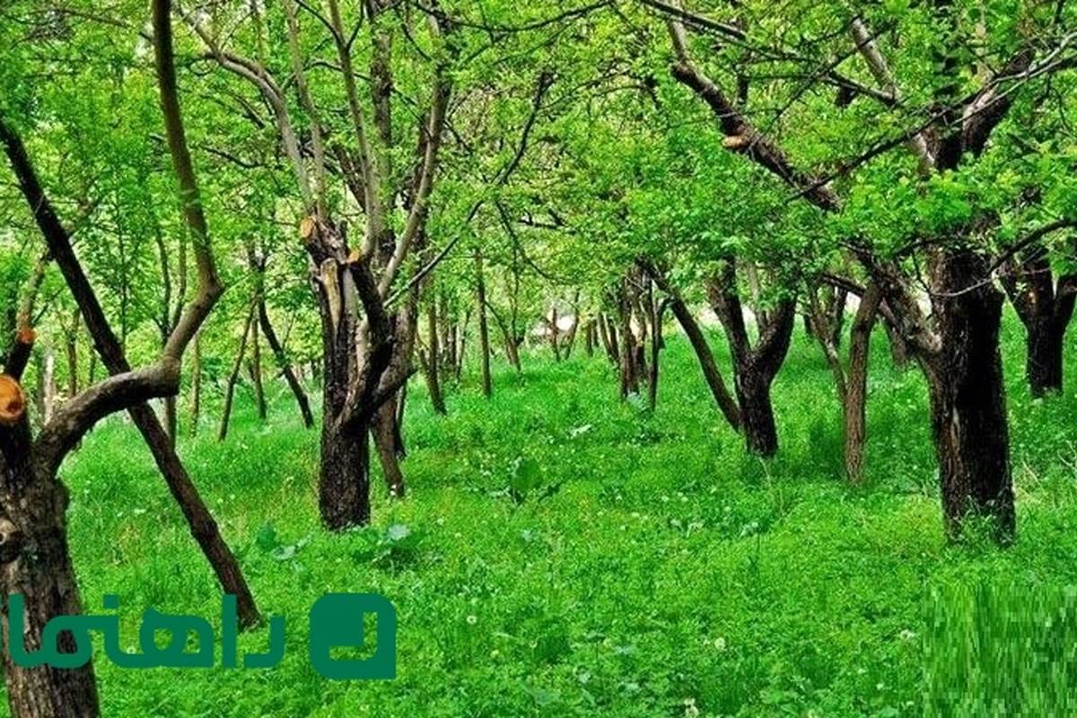 سفر به روستای عنبران؛ بهشتی معطر در قلب کوه‌های مشهد 