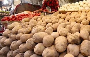 سیب زمینی ارزان شد/ قیمت جدید سیب‌زمینی رسما اعلام شد 