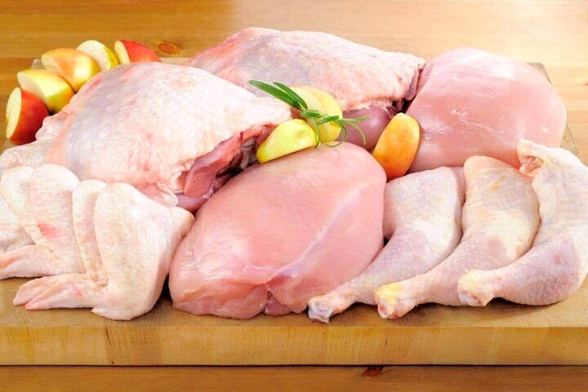 قیمت گوشت مرغ امروز ۱ تیر ۱۴۰۴