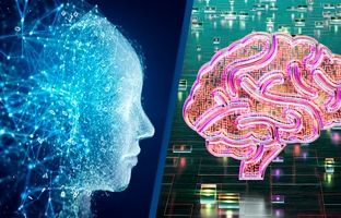زندگی ابدی در دنیای دیجیتال؟ آپلود ذهن انسان ممکن می‌شود!
