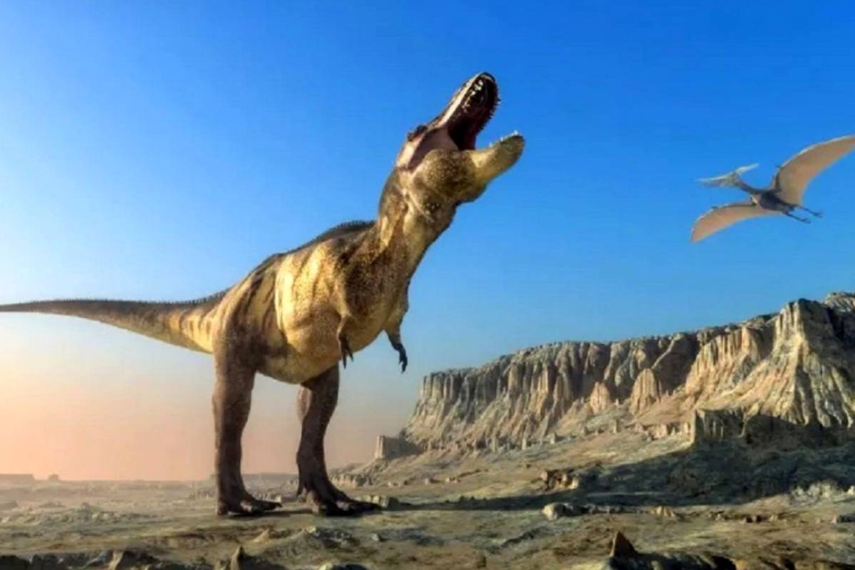 قدیمیترین دایناسورهای زمین کجا مدفون شدهاند؟