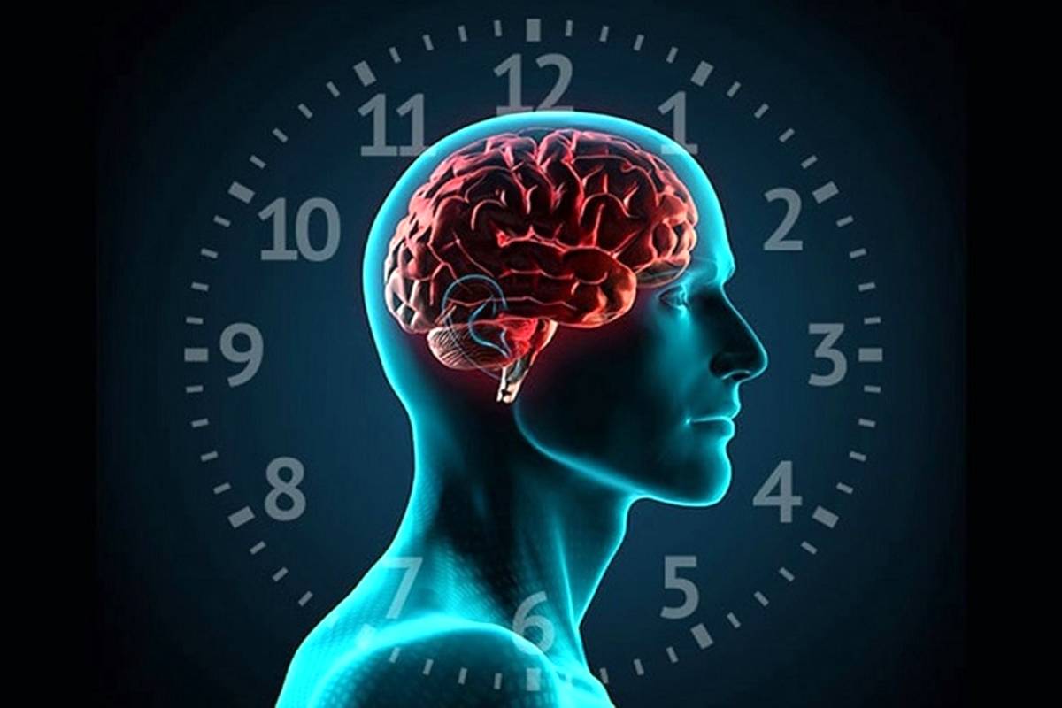 سن زیستی چیست و چگونه محاسبه می‌شود؟