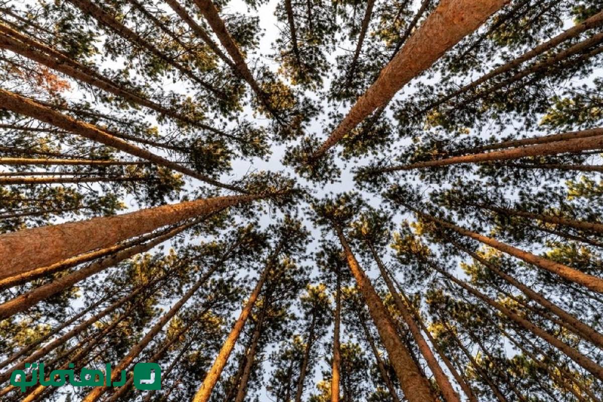 7 راه برای رسیدن به جهانی از دریچه و زاویهای متفاوت