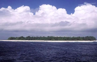  جزیره‌ای تاریک در اقیانوس آرام؛ ماجرا چه بود؟ 