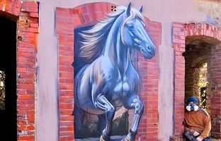 این اسب‌ها واقعی نیستند؛ هنر خیابانی شهر را زیبا می‌کند!