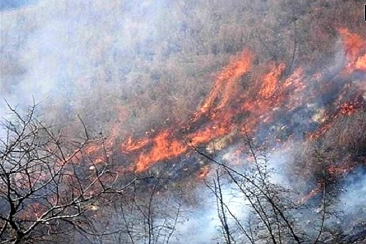 آتشسوزی ۵۰ ساعته در کوهسفید لنده/ آتش همچنان زبانه میکشد
