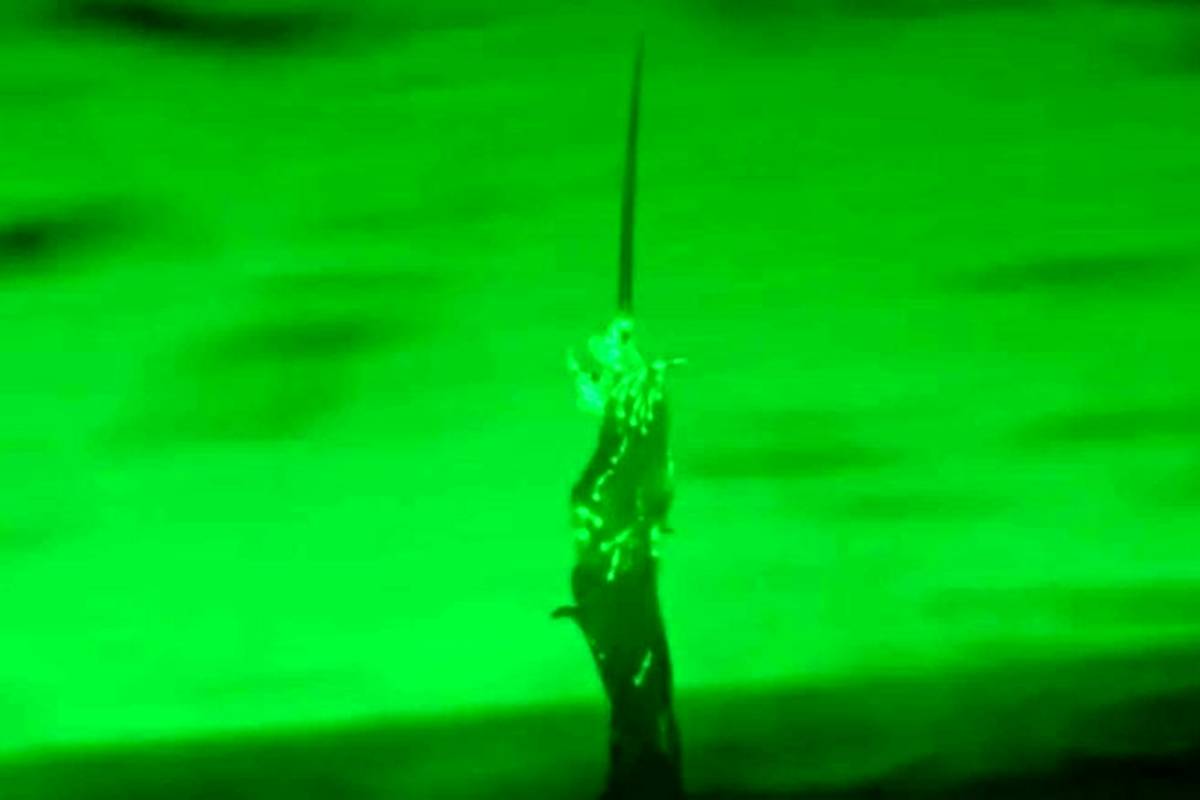 دیده شدن «برجهای زنده» ساختهشده از کرمها در طبیعت