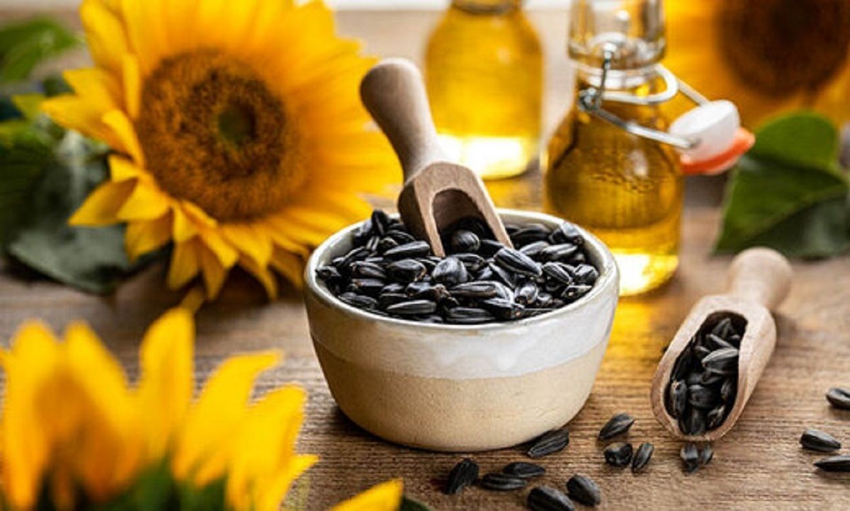تخمه آفتابگردان برای مبتلایان به دیابت و کبد چرب مضر است؟ 