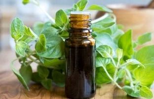 خواص روغن پونه کوهی
