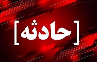 «تام» با خالکوبی گربه معروف؛ سارق ناشی‌ای که همیشه گیر می‌افتد