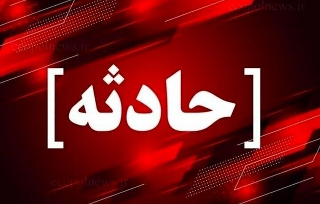 «تام» با خالکوبی گربه معروف؛ سارق ناشی‌ای که همیشه گیر می‌افتد