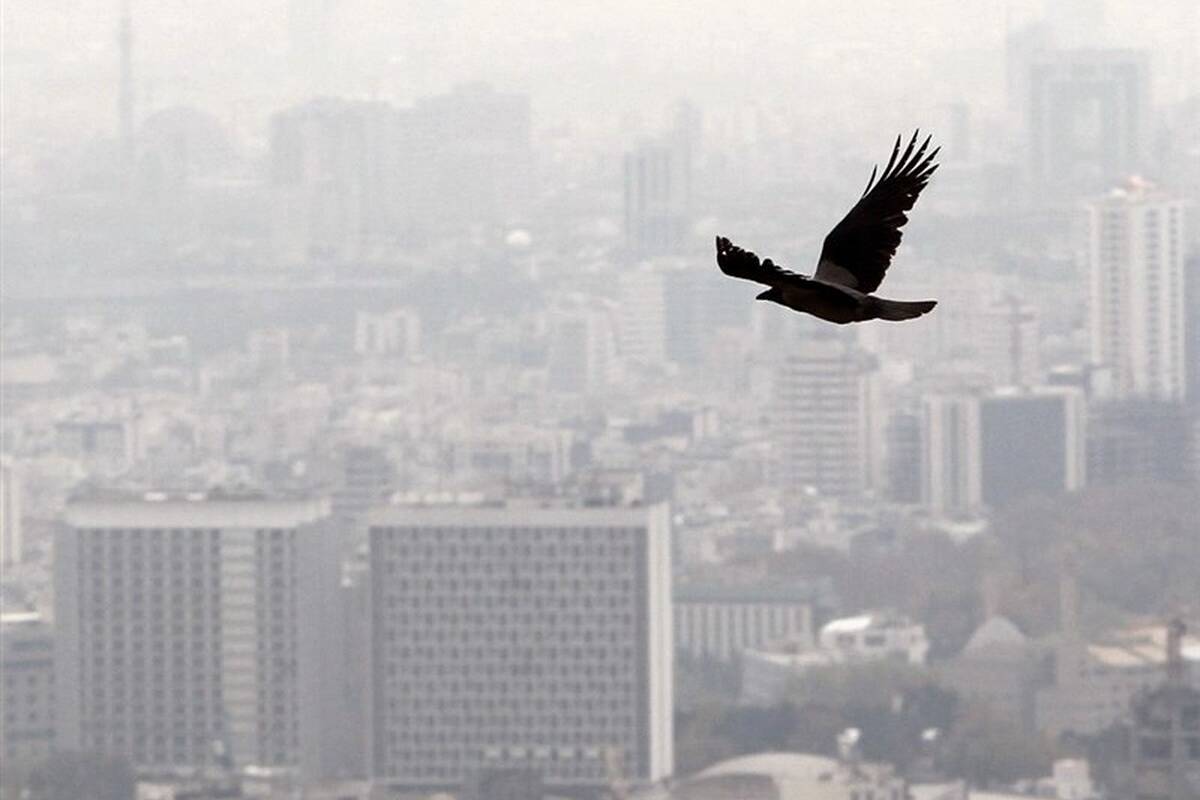 شاخص آلودگی هوای تهران؛ ۱۲ دی