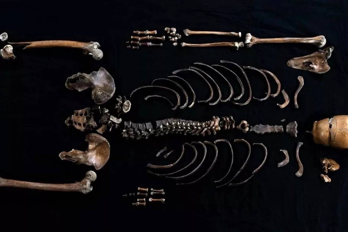 دانشمندان راز جسدی 800 ساله از حماسههای نورس را کشف کردند