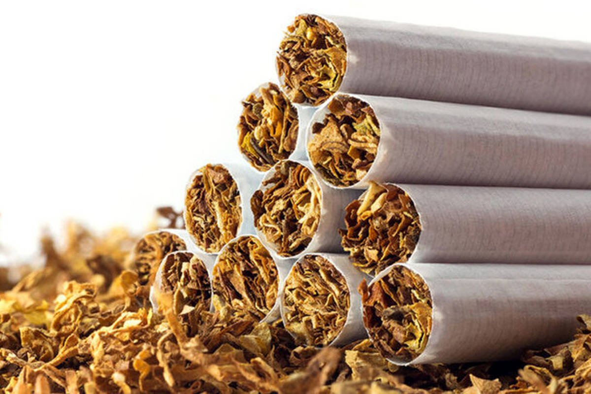 (ویدئو) محتویات یک نخ سیگار در زیر میکروسکوپ!