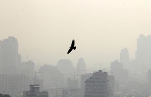 وضعیت آب و هوا امروز دوشنبه 16 تیر 1404/ پیش بینی وضعیت هوا فردا سه شنبه 17 تیر