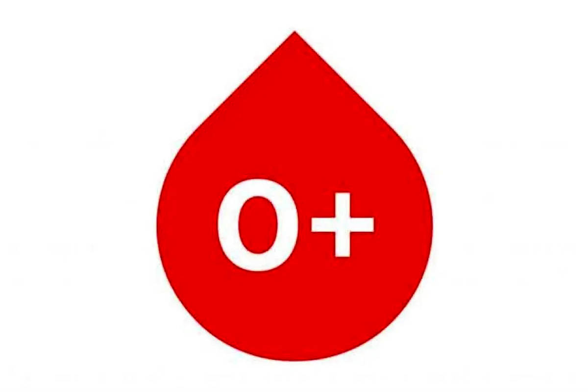  اگر گروه خونی O دارید این غذاها را بخورید
