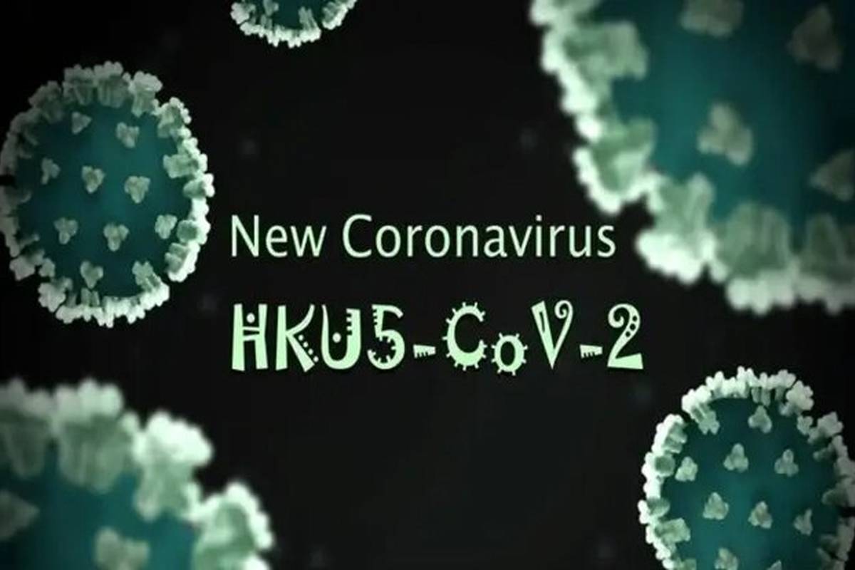 فقط یک جهش کوچک تا «اپیدمی»؛ کروناویروسِ HKU۵-CoV۲ در کمین/ باز هم پای خفاشها در میان است؟