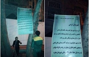 چرا درختان خیابان فلسطین قطع شد+ جزییات