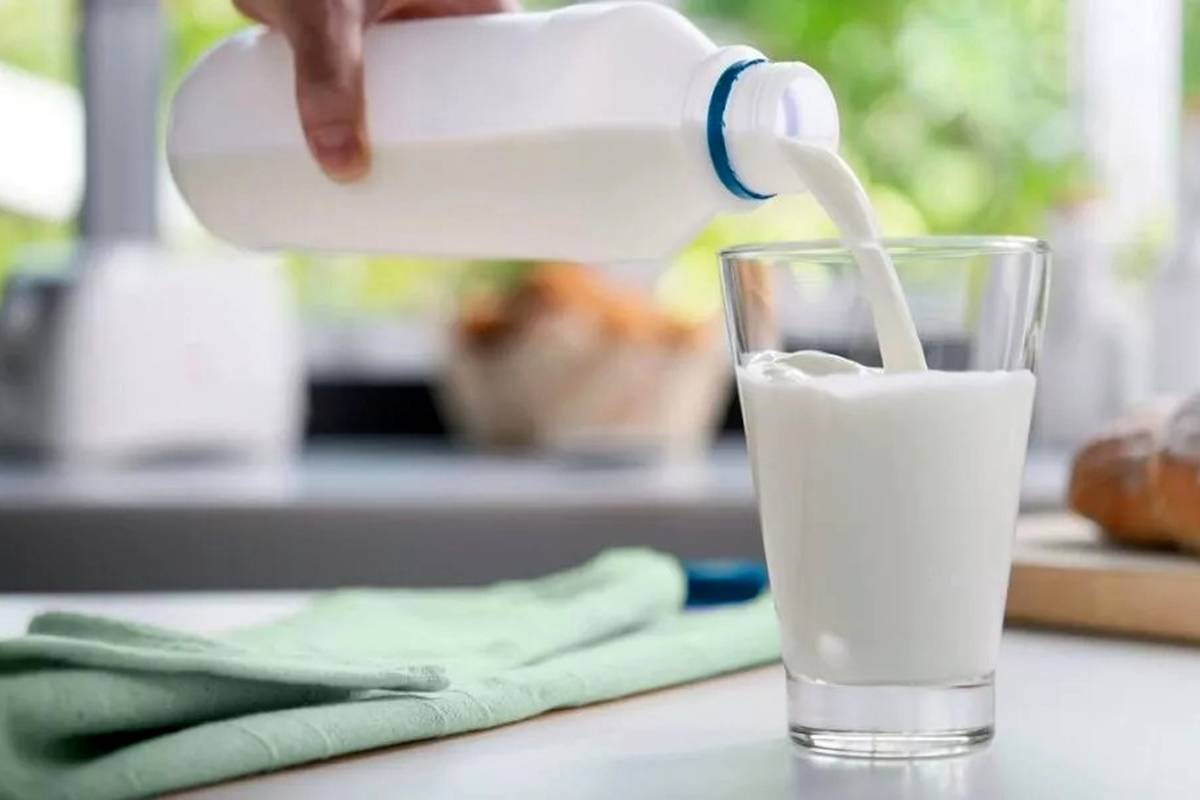 دانشمندان: مصرف روزانه شیر میتواند خطر ابتلا به سرطان روده را 17 درصد کاهش دهد
