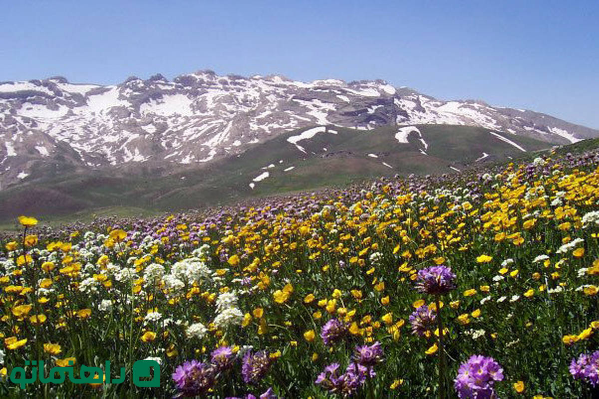 پاییز زودرس در بهشت کردستان: روستاهایی که شهریور ماه رنگ عوض می‌کنند

