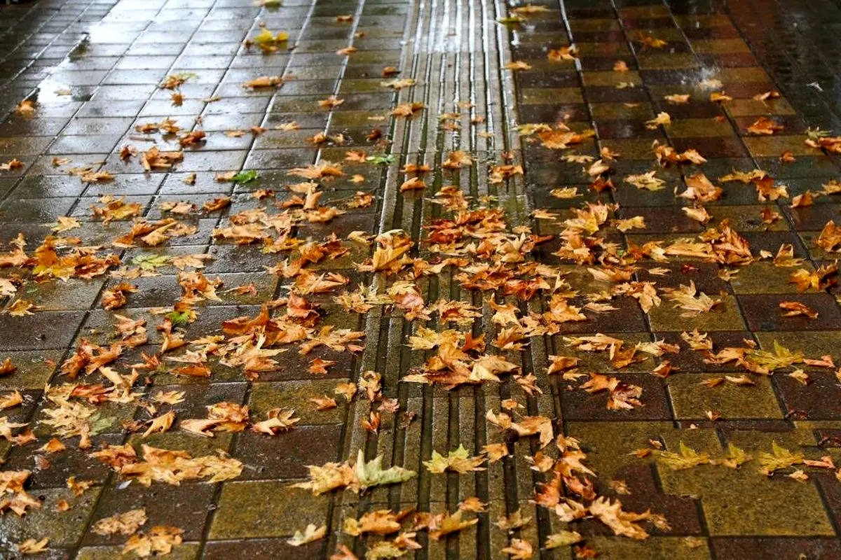 پاییز از کی بارانی می‌شود؟
