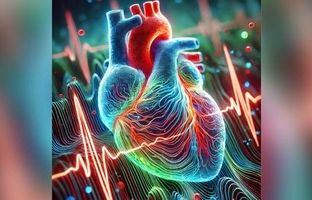 فیلمی شگفت انگیز از ضربان قلب زیر میکروسکوپ + ویدئو