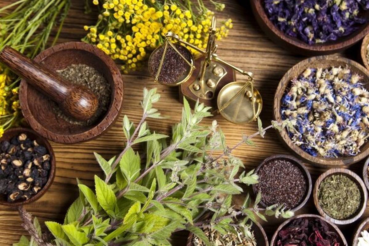 داروهای گیاهی برای بهبود بیماریهای دهان