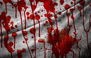 کشف جسد مثله‌شده زن گمشده در سردخانه 