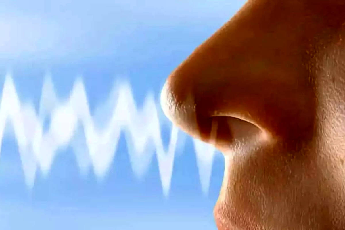تحقیق جدید: الگوی تنفس میتواند هویت، خلقوخو و وضعیت سلامت شما را فاش کند