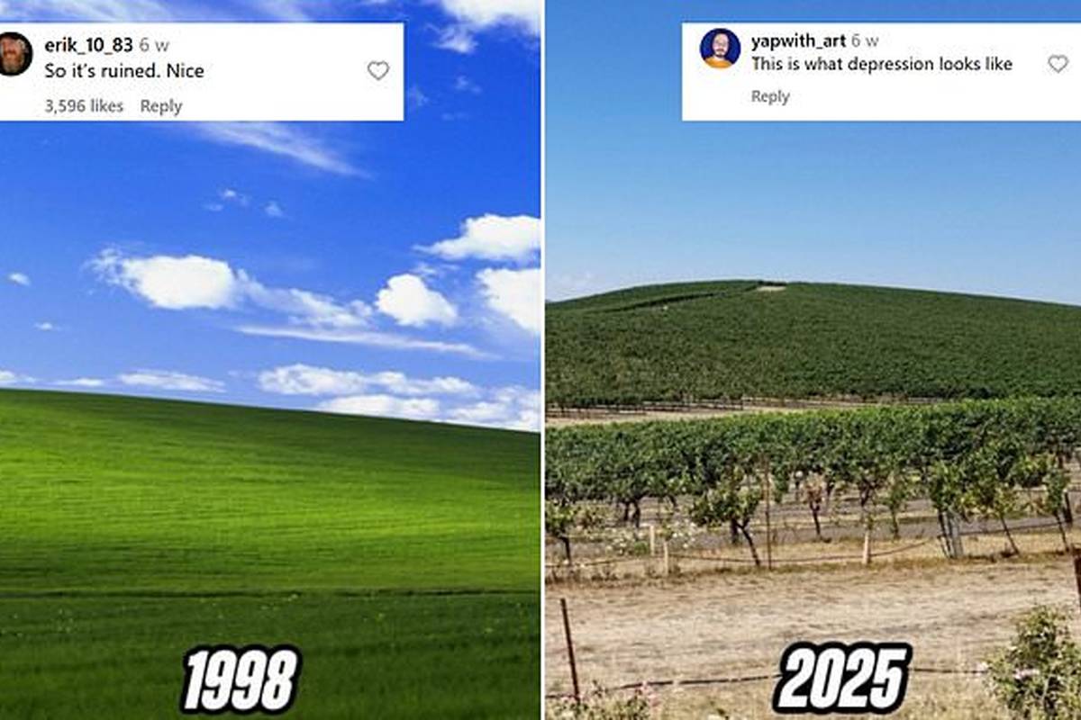 سرنوشت غمانگیز لوکیشن تصویر پسزمینه مشهور ویندوز XP