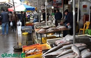 بهترین بازارهای ماهی گیلان کجاست؟
