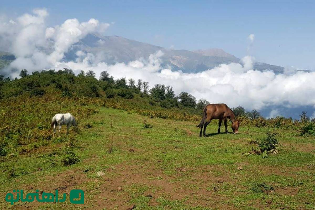 همسفر با بهار به زیباترین دهکده کلاردشت؛ چرا باید مازیچال را دید؟