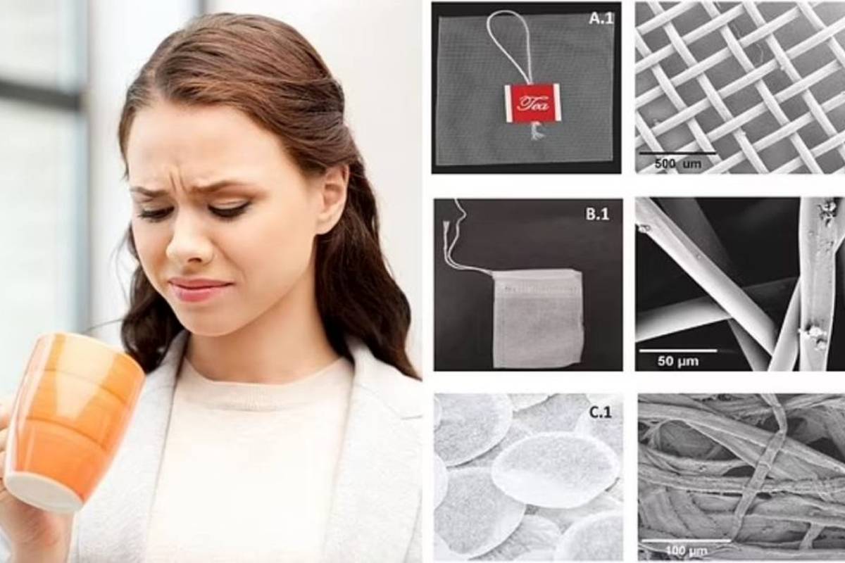 هشدار تازهی دانشمندان: چای کیسهای منبع میلیاردها ذره میکروپلاستیک خطرناک